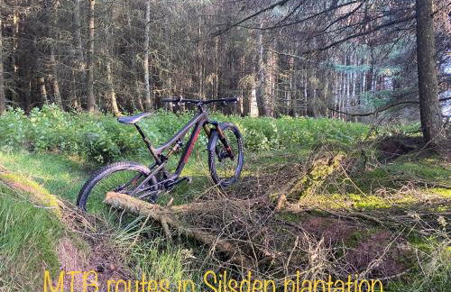 Moll’n’Cliff - Foto 28