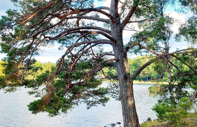 7 Person Holiday Home in Ingaro-by Traum - Foto 17