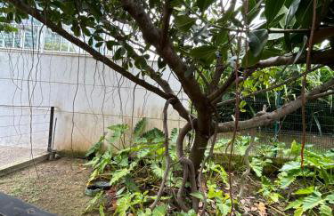 Apto RioCentro, Parque Olímpico Barra da Tijuca RJ - Foto 48