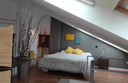 TOLETUM low cost LOFTS diáfanos o 2dormitorios PARKING Municipal Gratis al aire libre a 100m - Foto 12