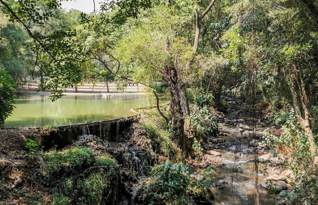 El Salto Luxury Ranch with Lake View - Foto 49