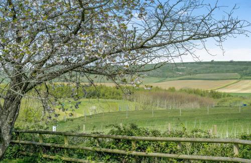 2 Bed in Newchurch oc-ic127 - Foto 24