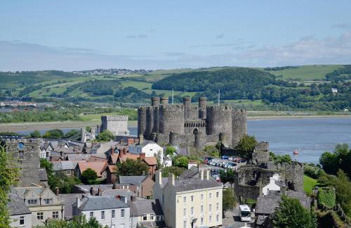 Ty Llewelyn - Foto 17