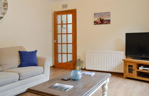 Cotton Shore - Foto 3