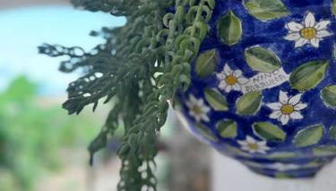 Casa Vacanze Anthea Carini - Foto 1