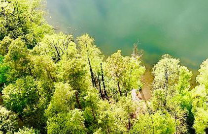 Dobrostan Domek w Naturze - Foto 52