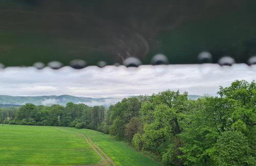 Złota Widokówka - Foto 37