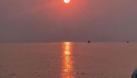 Corallo Neroo - Foto 2