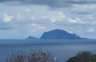 LAPALMAS Apartments - in centro a Malfa - Foto 24