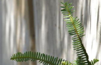 LIORIZA Country Houses - Foto 41