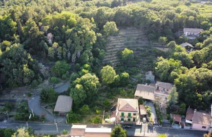 Casa Francesco - Foto 19