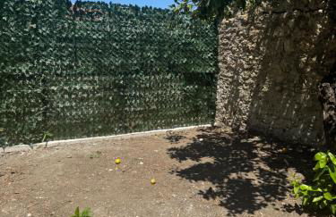 Sofia's Bella Vista Pagoi - Photo 30