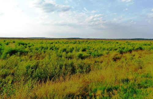 Ferienwohnung Uchte - Photo 51