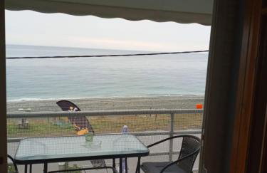 AGATHA appartments PALIOURIA - Foto 47