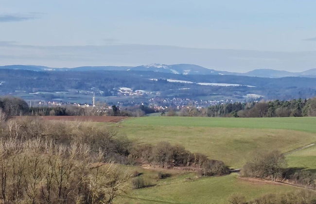 Relaxing Holiday Home in Willersdorf in the Forest - Photo 70