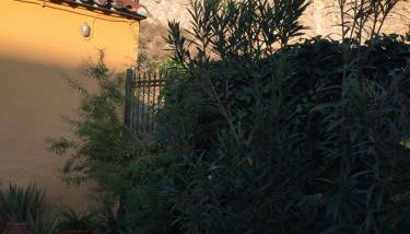 Casa Rural Casa Juli - Foto 3