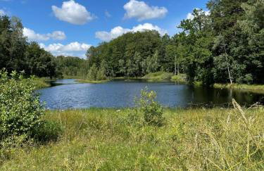 Domki Smokowo - Foto 29