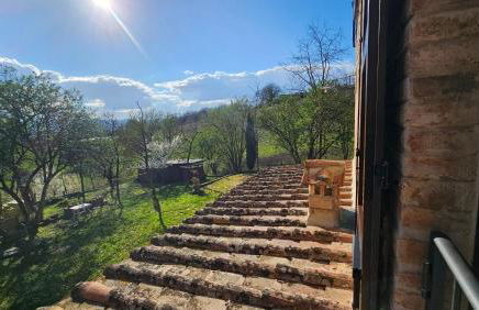 Da Taz Siena - Foto 2