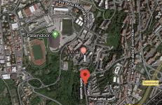 Il Parco Di Yuki (2) - Foto 24