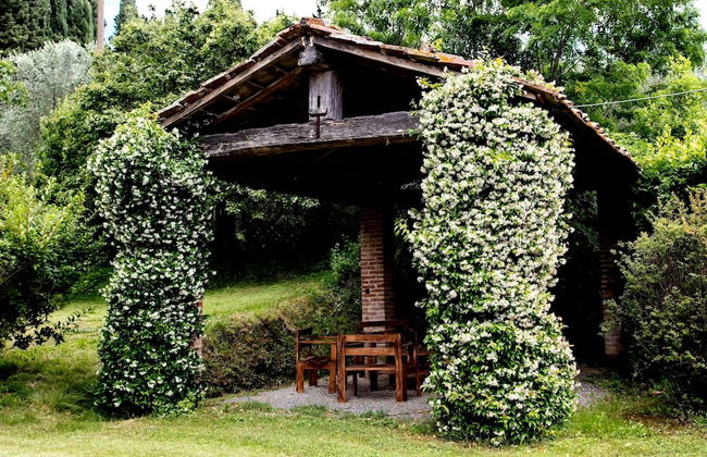 Peaceful Apartment, Ghizzano - Foto 25