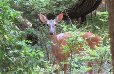 Retreat in a Stunning House - Foto 23