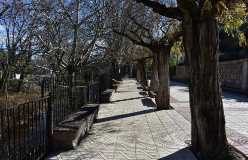 Alojamientos Segóbriga Rural (Artesa) - Foto 21