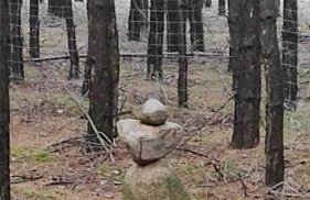 Dom za wydmą - Foto 60