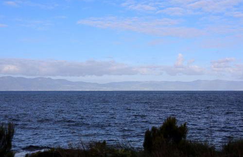 Casas Goulart - Photo 19