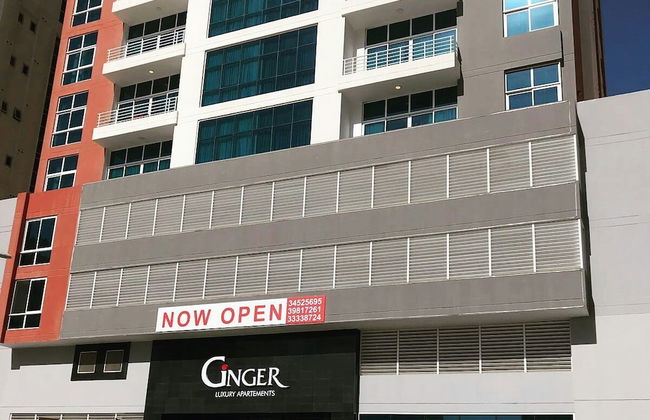Ginger Luxury Apartments - Photo 35