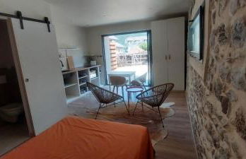 La grange studio à 100 mètres du lac et 30 mètres de la piste cyclable N2 - Foto 4