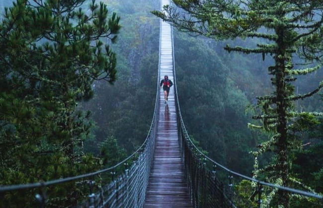 Tour de aventura no cânion do Coiote - Foto 5