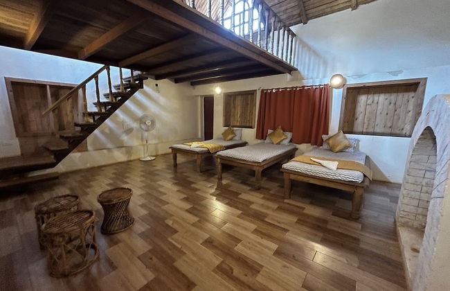 Forest Trails Adventure Resort - Foto 10