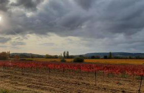 Ô chalets de Provence - Foto 9