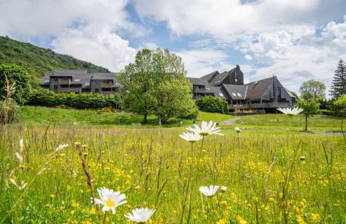 Sancy Resort - Foto 68