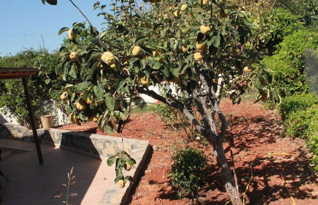 Villa Medusa - Foto 61