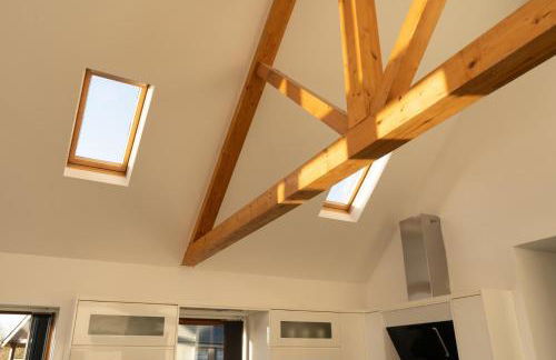 The Green Monkey - Foto 18