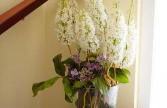 Porto Limnia - Foto 33