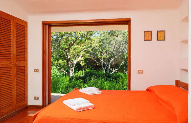 Terre Rare - Foto 11