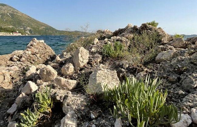 Holiday House Barka - Foto 11