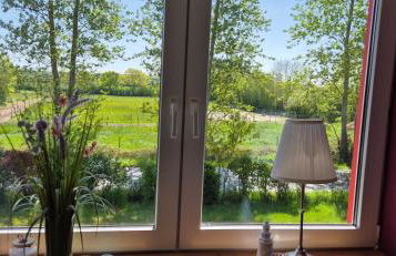 Kleiner Stern - Foto 10