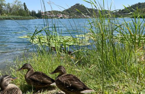 Studio Calma - Foto 38