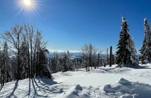 Haus Wiesenblick - Foto 29