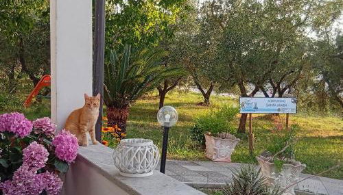 Agriturismo Santa Maria - Foto 2