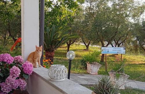 Agriturismo Santa Maria - Foto 2