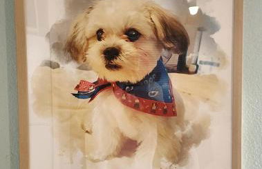 PEBBLES' BEACH HOUSE - Foto 9