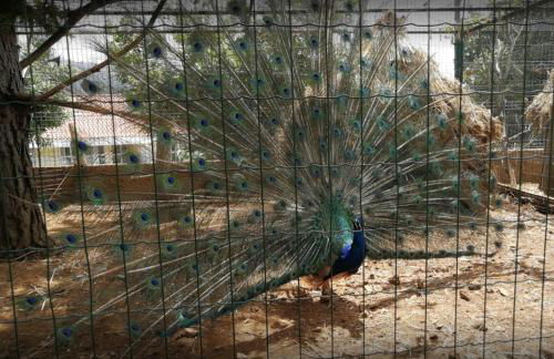 Casa Santana - Foto 31