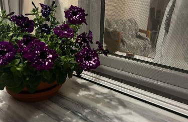 MARIALENA HOMe - Photo 1