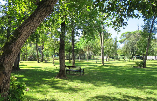 Residence Pinewood - Foto 16