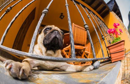 Apartamentos Rurales L´Abiseu - Photo 24