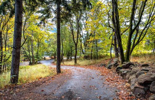 Evergreen Retreat A 30 Night Minimum - Foto 48